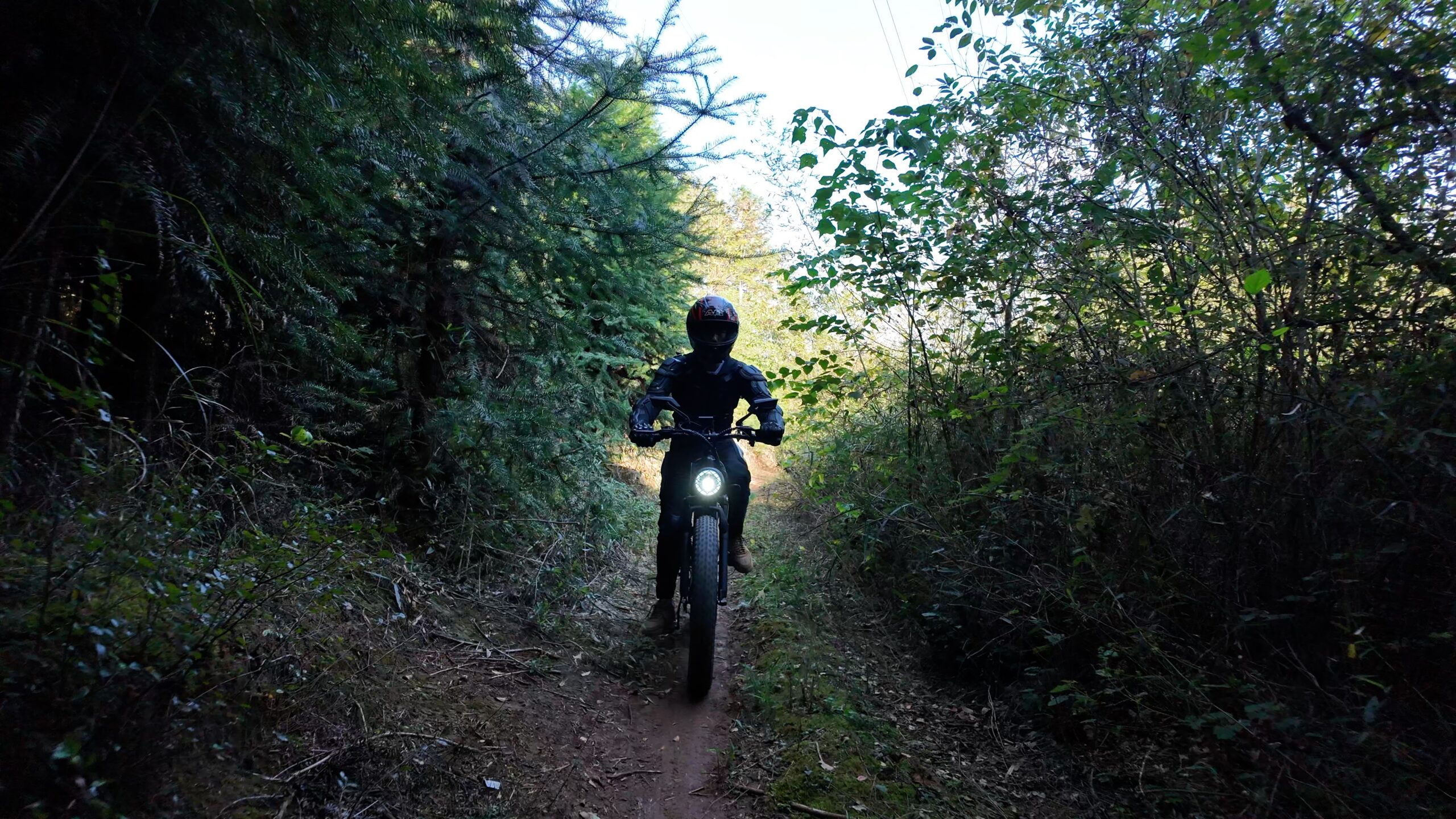 Ultimate Electric Bikes for Adults: Reviews, Buying Tips, and Maintenance Advice