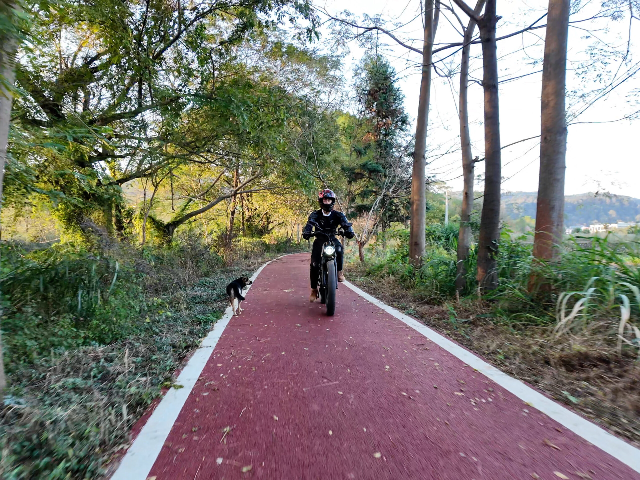 Top 10 Electric Bikes for Adults in 2025: The Ultimate Buying Guide