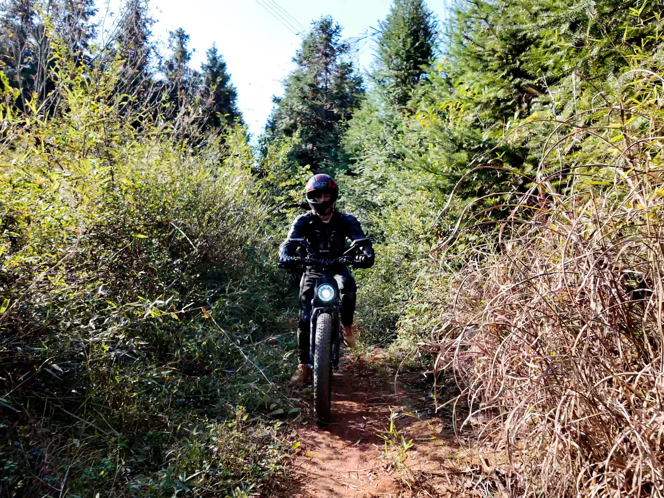 Best Electric Mountain Bikes for Beginners: Top Picks for 2025